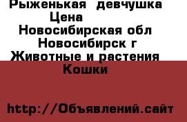 Рыженькая  девчушка › Цена ­ 2 500 - Новосибирская обл., Новосибирск г. Животные и растения » Кошки   
